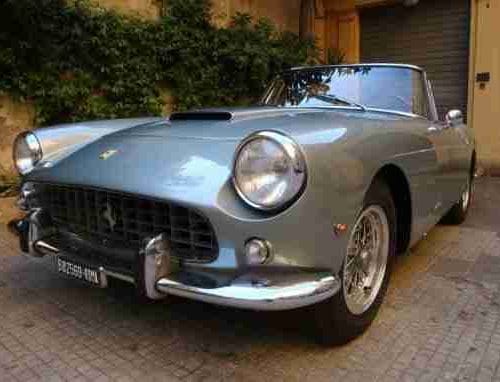 Коллекция птенцов